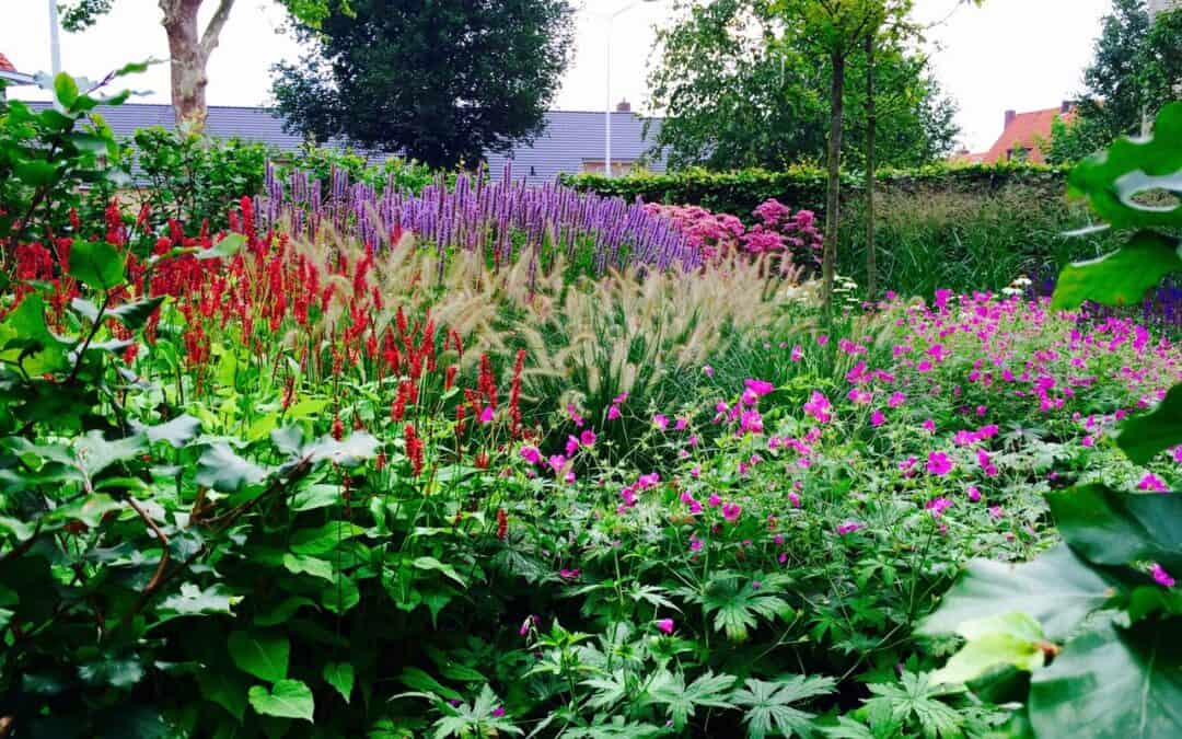 Duurzaamheid in de moderne tuin